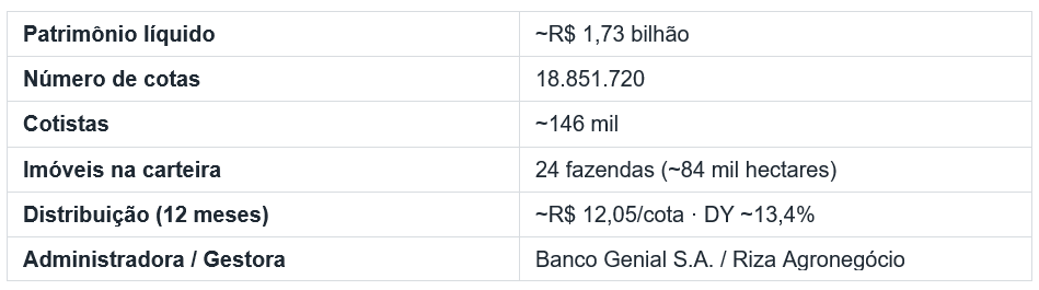 Dados do fundo
