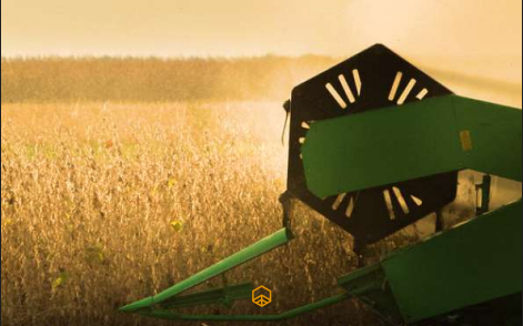 Quando o arrendatário não paga: o que o Fato Relevante do RZTR11 ensina sobre FIIs de terras agrícolas